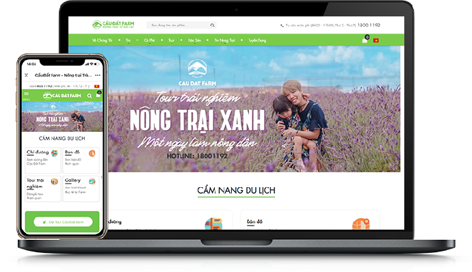 Tư vấn FDI